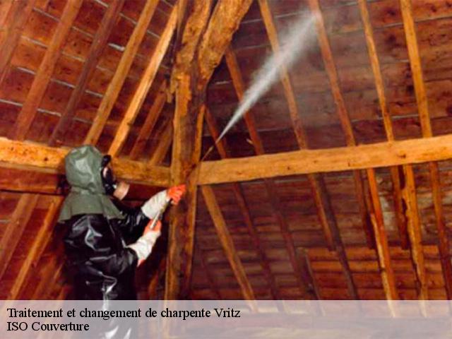 Traitement et changement de charpente  vritz-49440 ISO Couverture