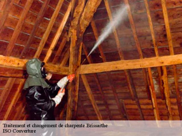 Traitement et changement de charpente  brissarthe-49330 ISO Couverture