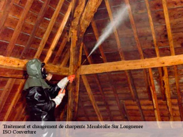 Traitement et changement de charpente  membrolle-sur-longuenee-49220 ISO Couverture