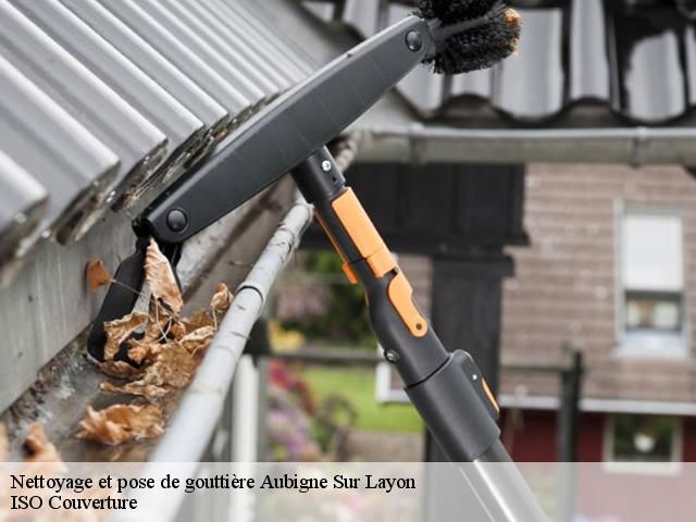 Nettoyage et pose de gouttière  aubigne-sur-layon-49540 ISO Couverture