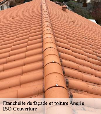 Etanchéite de façade et toiture  angrie-49440 ISO Couverture