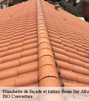 Etanchéite de façade et toiture  brain-sur-allonnes-49650 ISO Couverture