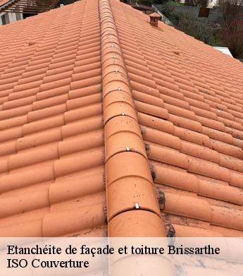 Etanchéite de façade et toiture  brissarthe-49330 ISO Couverture