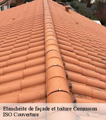 Etanchéite de façade et toiture  cernusson-49310 ISO Couverture