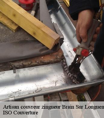 Artisan couvreur zingueur  brain-sur-longuenee-49220 ISO Couverture