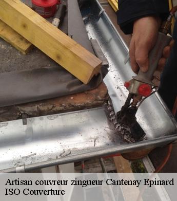 Artisan couvreur zingueur  cantenay-epinard-49460 ISO Couverture