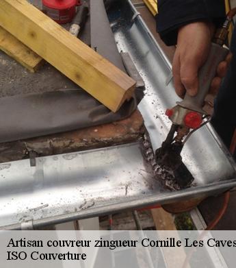 Artisan couvreur zingueur  cornille-les-caves-49140 ISO Couverture